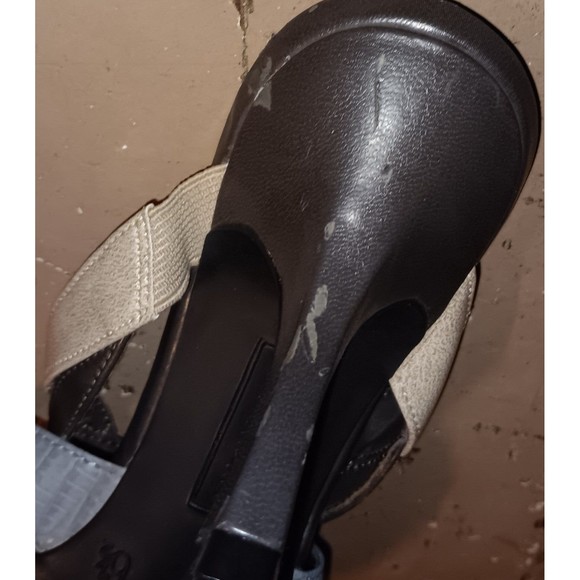 Predictions tricolor mules - Picture 3 of 4